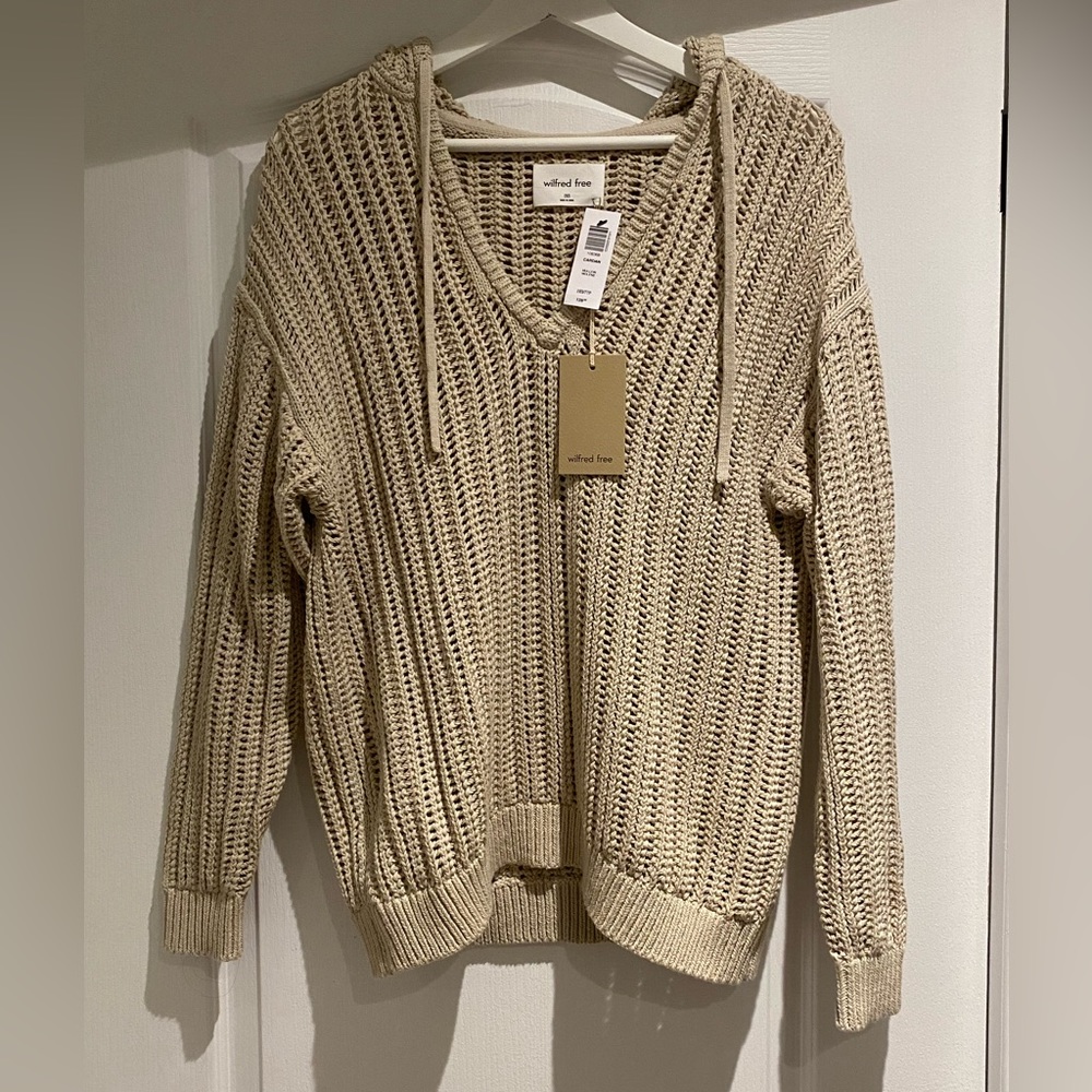 Aritzia Cardan Hoodie